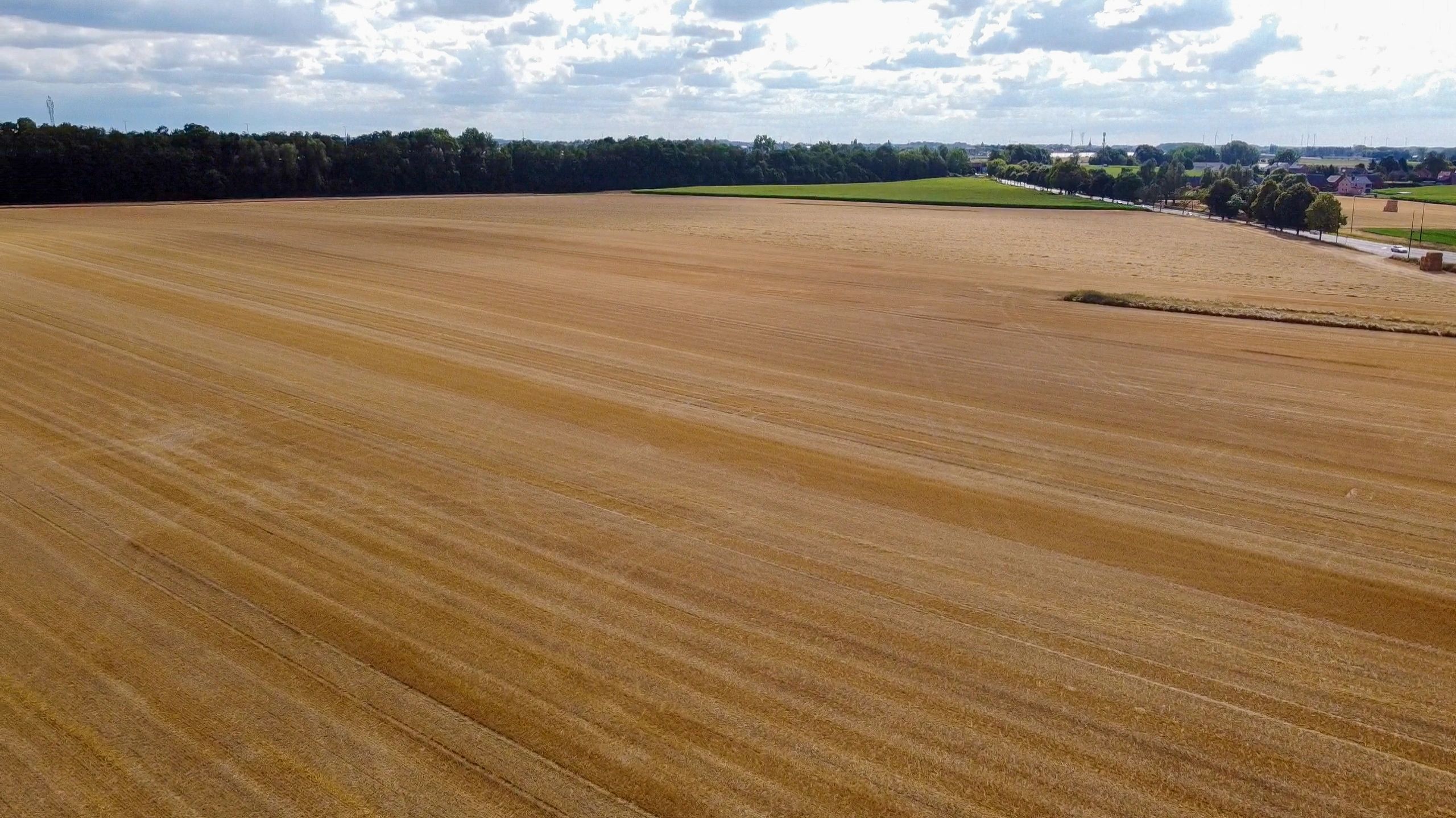 Agricultural field environment representing robotics and smart farming systems